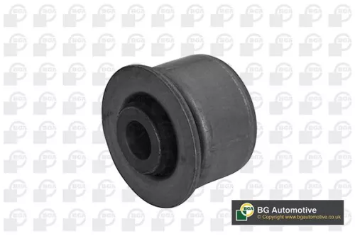 Mounting, control/trailing arm