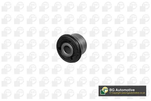 Mounting, control/trailing arm