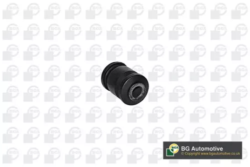 Mounting, control/trailing arm
