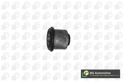 Mounting, control/trailing arm