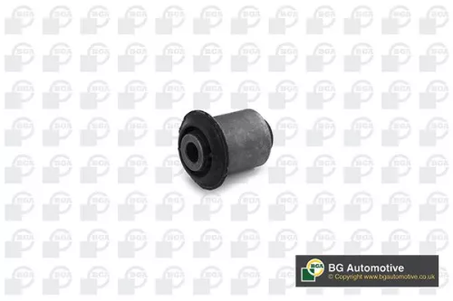 Mounting, control/trailing arm
