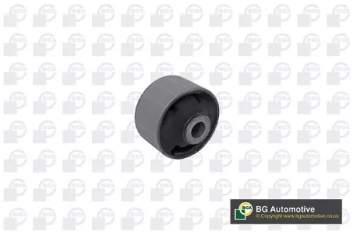Mounting, control/trailing arm
