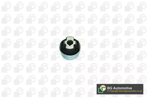 Mounting, control/trailing arm