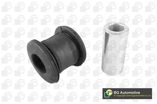 Mounting, control/trailing arm