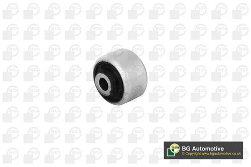 Mounting, control/trailing arm