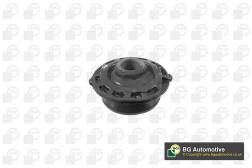 Mounting, control/trailing arm