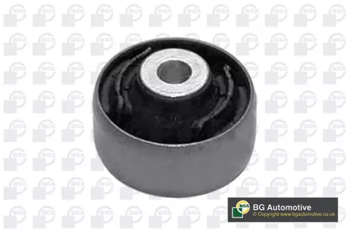 Mounting, control/trailing arm