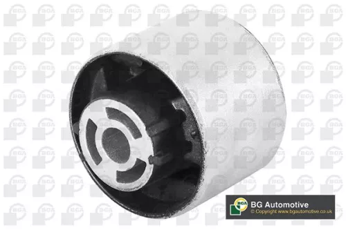 Mounting, control/trailing arm
