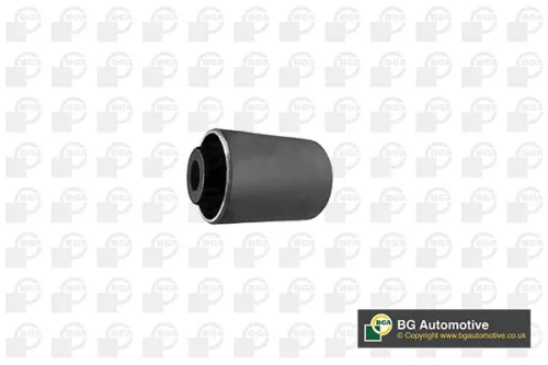 Mounting, control/trailing arm
