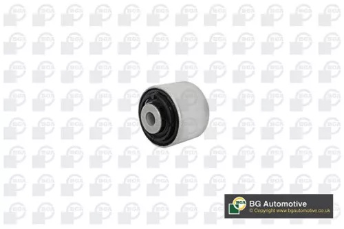 BGA BGA (BU0132) Mounting, control/trailing arm 