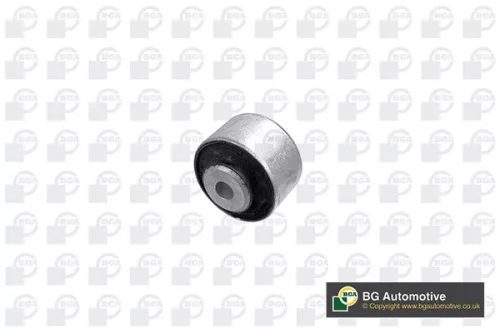 Mounting, control/trailing arm