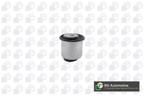 Mounting, control/trailing arm