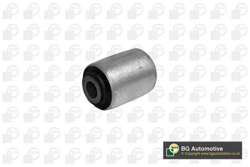 Mounting, control/trailing arm
