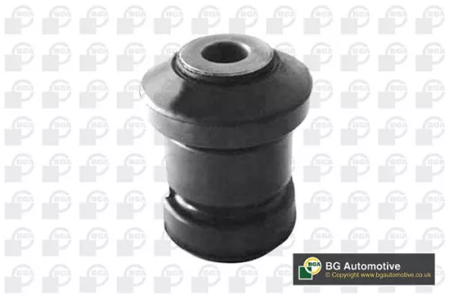 Mounting, control/trailing arm