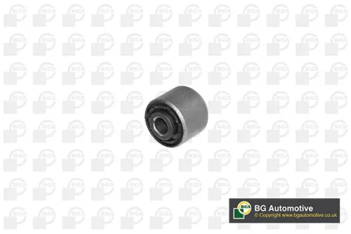 Mounting, control/trailing arm