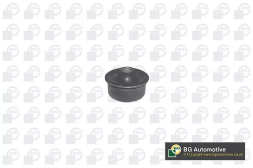 Mounting, control/trailing arm