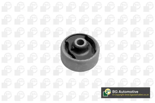 Mounting, control/trailing arm