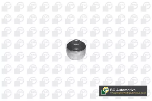 Mounting, control/trailing arm