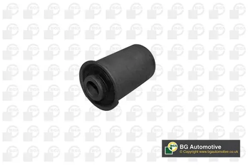 Mounting, control/trailing arm