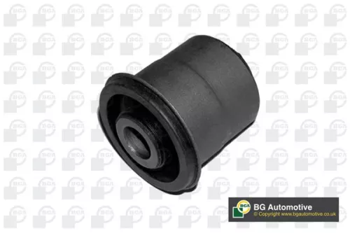 Mounting, control/trailing arm