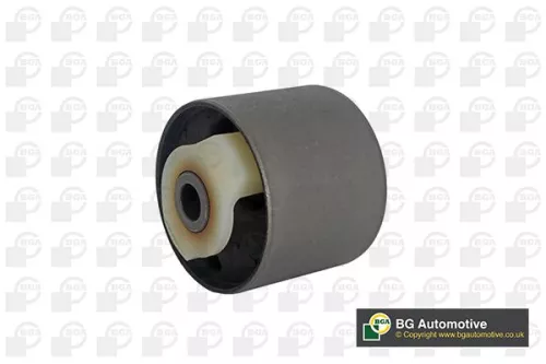 Mounting, control/trailing arm