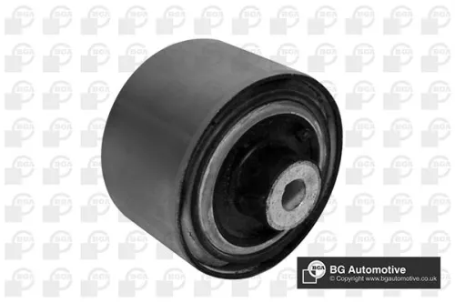 Mounting, control/trailing arm