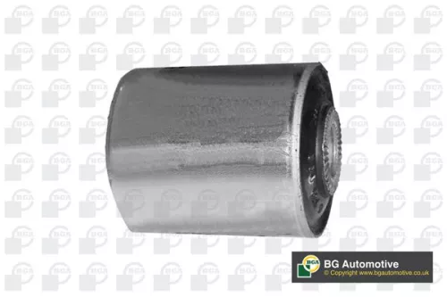 Mounting, control/trailing arm