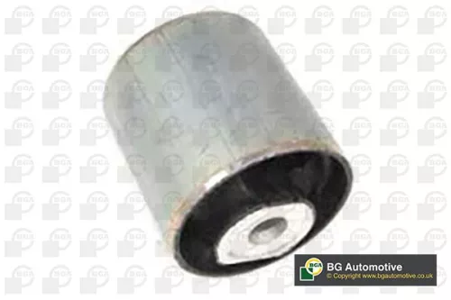 Mounting, control/trailing arm