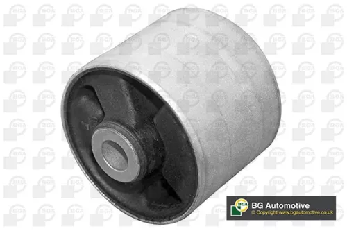 Mounting, control/trailing arm