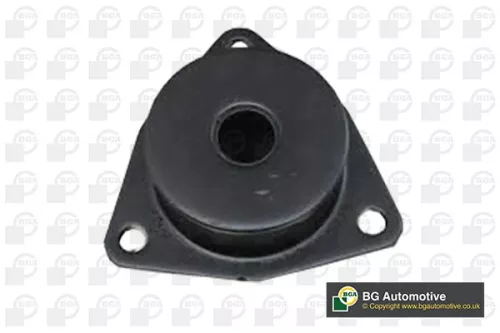 Mounting, control/trailing arm