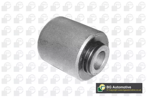 BGA BGA BU4296 Mounting, control/trailing arm 