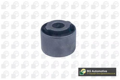 BGA BGA (BU4303) Mounting, control/trailing arm 