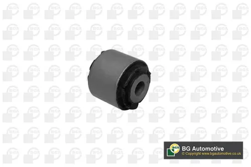 Mounting, control/trailing arm