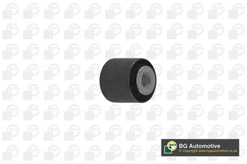 Mounting, control/trailing arm