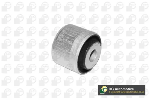 Mounting, control/trailing arm
