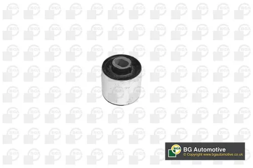 Mounting, control/trailing arm