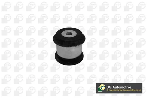 Mounting, control/trailing arm