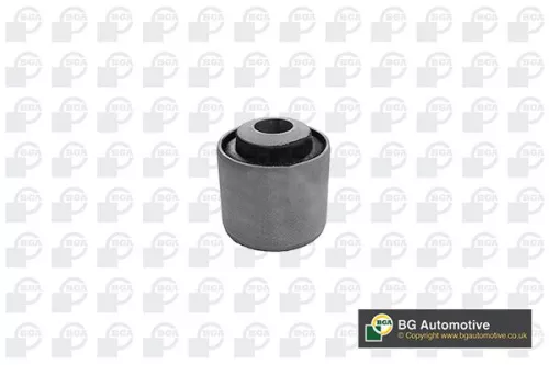 Mounting, control/trailing arm