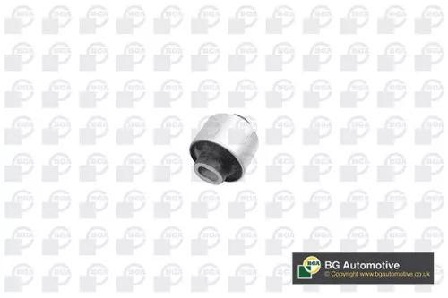 Mounting, control/trailing arm