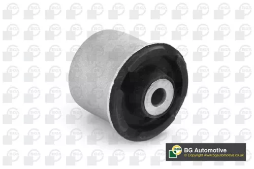 Mounting, control/trailing arm