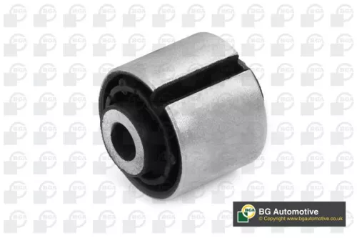 Mounting, control/trailing arm