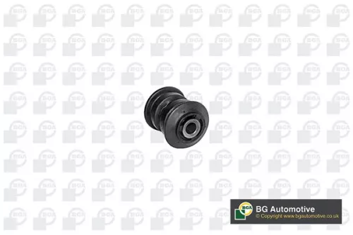Mounting, control/trailing arm