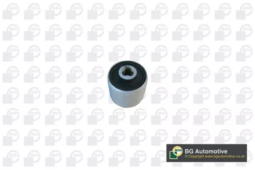 Mounting, control/trailing arm