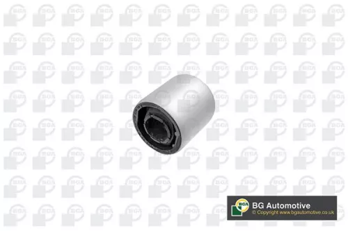 BGA BGA (BU5917) Mounting, control/trailing arm 