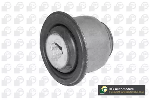 Mounting, control/trailing arm