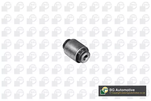 Mounting, control/trailing arm