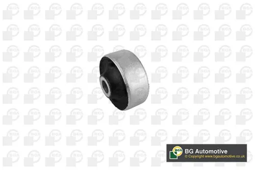 Mounting, control/trailing arm