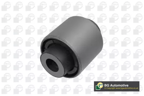 Mounting, control/trailing arm