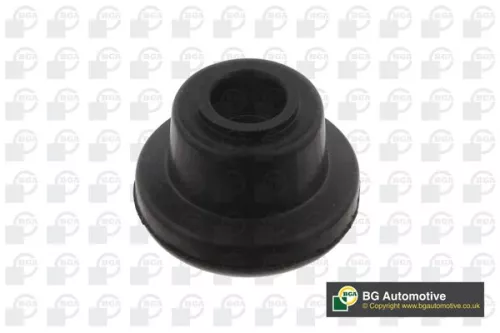 Mounting, control/trailing arm