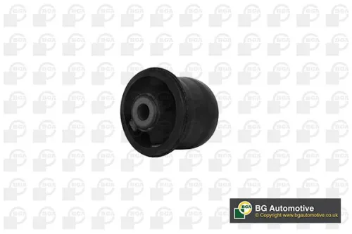 Mounting, control/trailing arm